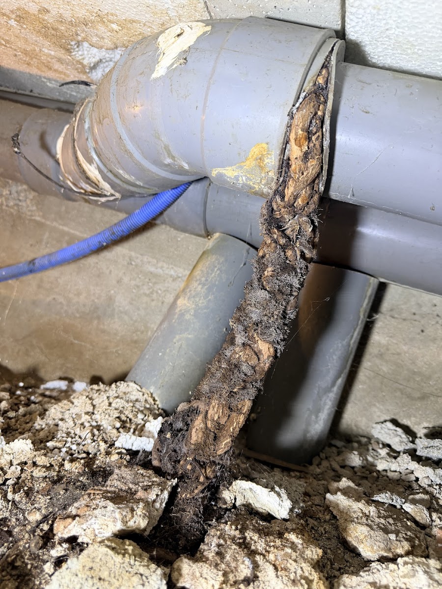 Dépannage plomberie sur canalisation